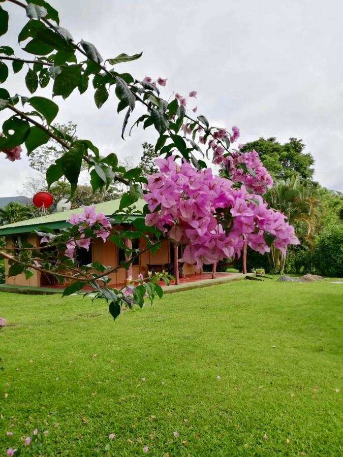 Casita El Jardin Villa บิฆากัว ภายนอก รูปภาพ