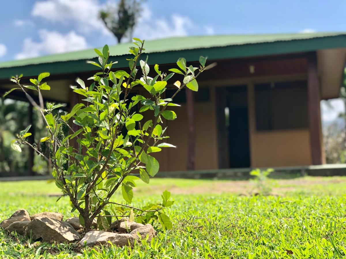 Casita El Jardin Villa บิฆากัว ภายนอก รูปภาพ