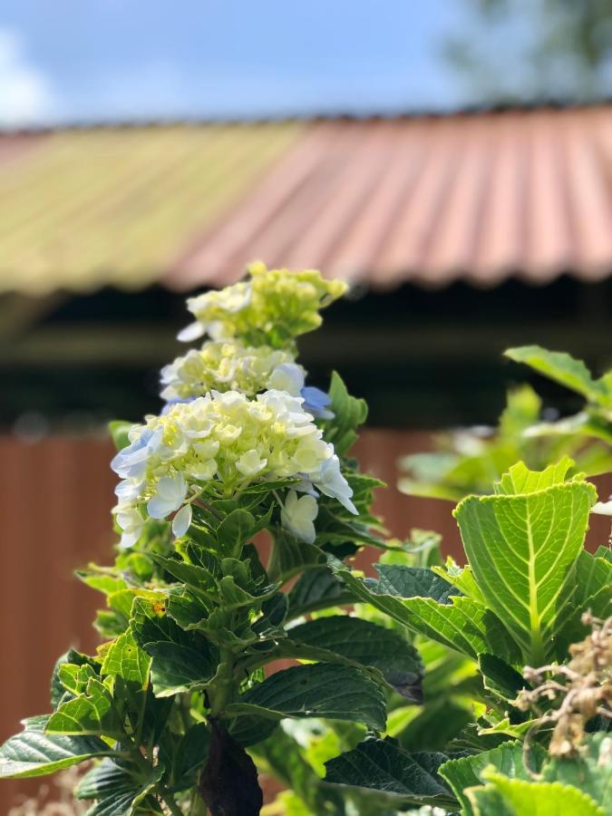 Casita El Jardin Villa บิฆากัว ภายนอก รูปภาพ